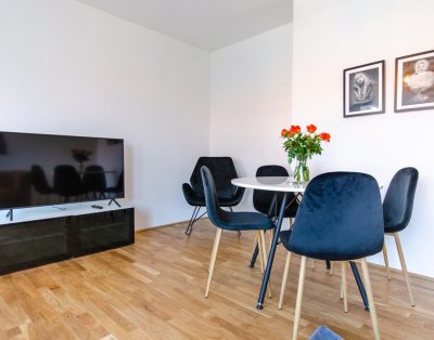 Accommodation in Vienna with hand-picked furniture and top location