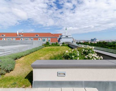 Stunning Penthouse Residence with Majestic Views of Schönbrunn Palace